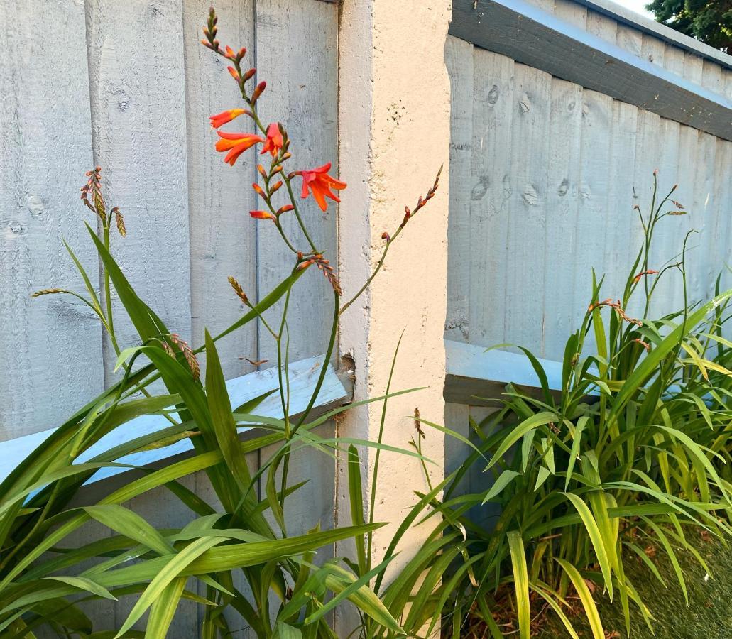 Ivy Coastal Cottage Caister-on-Sea Ngoại thất bức ảnh